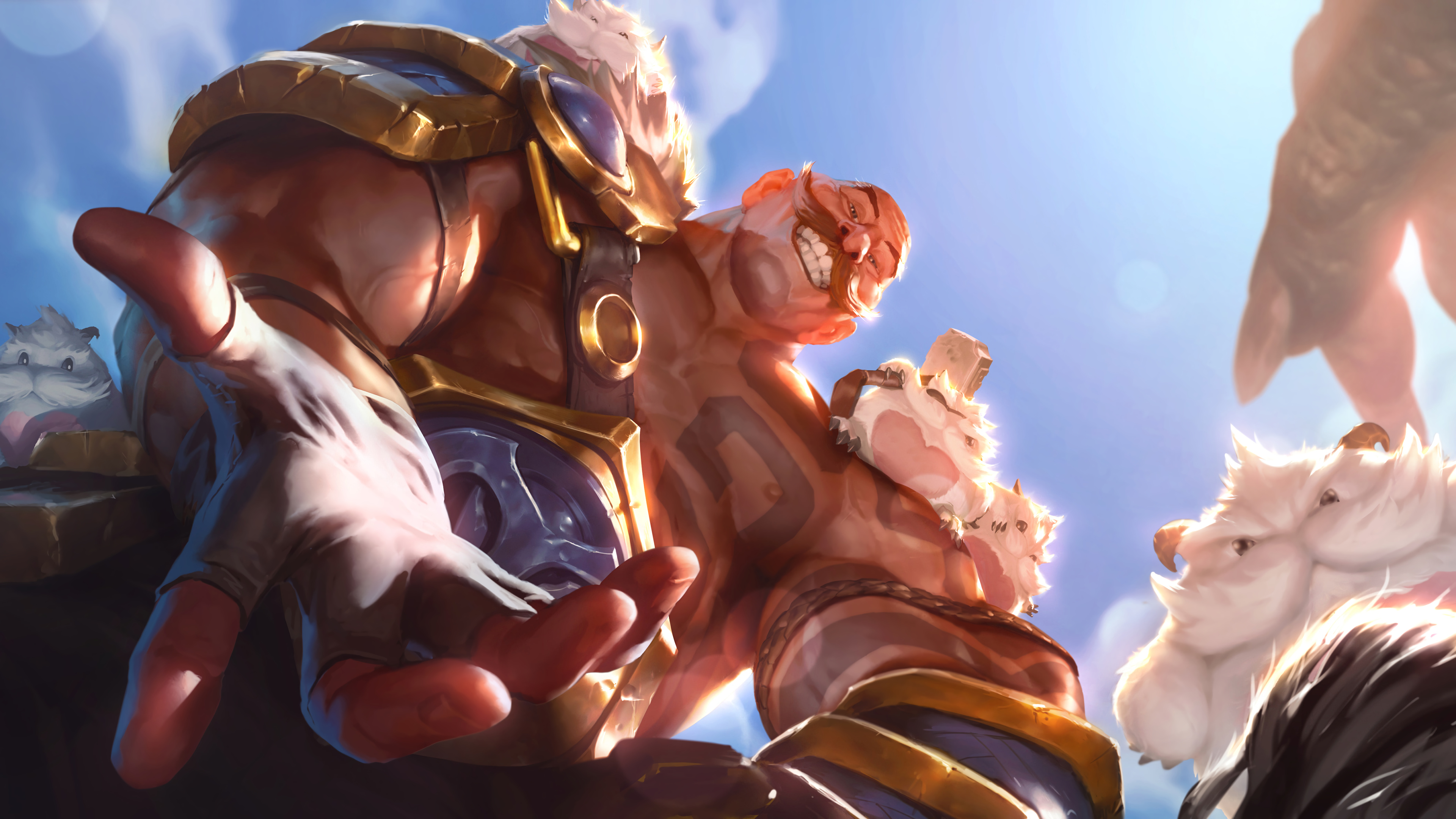 braum and poro help lol